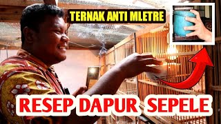 Bumbu Dapur jadi Solusi Sehat Kenari kita dan Ternak Kenari jadi Lancar