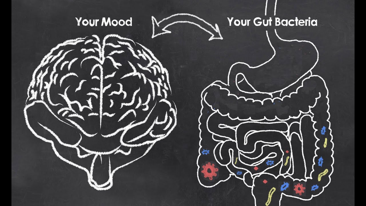 Is There Any Link Between Gut Health And Mental Health Inlifehealthcare Is There Any Link Between Gut Health And Mental Health Inlifehealthcare