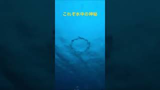 ポンデリング　水中の神秘