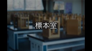 【不思議な話】標本室