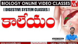 కాలేయం - LIVER | Digestive System | Biology Classes by Prasanna Harikrishna Sir | Vyoma Academy