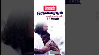 நம் நம்பிக்கையின் பாடல் #todaysong #todaypromisewordintamil #todaybibleverseintamil #trend #shorts