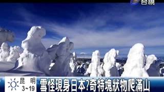 雪怪現身日本?奇特塊狀物爬滿山