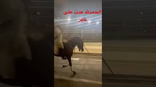 الحمدلله عدت على خير