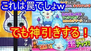 SSランク覚醒ぷにニャンが追加！完全にダメガシャだけど神引きに期待！ 妖怪ウォッチぷにぷに　シソッパ