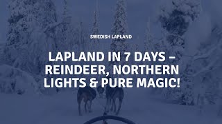 Lapland in 7 Days – Reindeer, Northern Lights \u0026 Pure Magic!