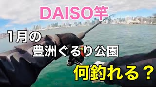 【豊洲ぐるり公園】1月は何が釣れる？