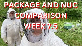 Package and nuc comparison after 7 5 weeks