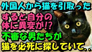 60歳で仕事を始めた。ある日外国人から猫を受け取り飼うことに。すると自分の体に異変が!? スーツ姿の謎の男たちが必死に猫を探していて..【猫の不思議な話】【朗読】