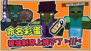 【Minecraft】給不穿褲子的人一個教訓！強制穿上褲子的命名｜隱藏彩蛋