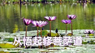 从悟起修菩萨道   ~圣开导师 讲 《幸福之音》  [唯佛宗世界人乘佛教]