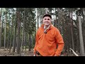 wild boar driven hunt in poland a lot of action