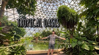 Tropical Rainforest Dome at Brisbane Botanic Gardens