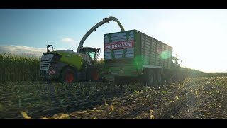 Maishäckseln 2021 auf dem Hof Butenschön mit Xerion 3800 und Jaguar 980 | 4K