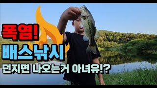 폭염 속 배스낚시!(박프로 제대로 첫 배스 잡다!)