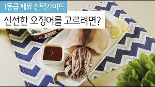 [재료고르기] 신선한 오징어를 고르려면? How to choose fresh squid?