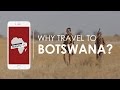 Why travel to Botswana, Africa’s best kept secret? Rhino Africa's Travel Tips