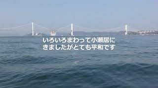 2024年3月16日香川県坂出沖タイラバ・サビキ