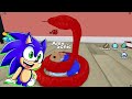 ¡sonic y amy se convierten en hamsters en roblox