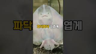 알고보면 무시무시한 가오리