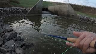 Spillway fishing for NC crappie using 5wt Moonlit Lunar S Glass fly rod