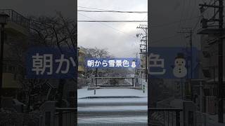 【Vlog】朝から雪景色⛄️【Powder Snow】#日本 #冬 #名古屋 #雪 #粉雪 #snow #winter #japan #nagoya #shorts #viralvideo #初雪