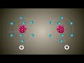 Atoms and Molecules Class 9 Tutorial