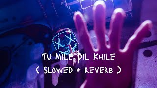 Tu Mile Dil Khile (Slowed and Reverb) | Stebin Ben | Asees Kaur | Larissa B | Latest Hindi Song 2023