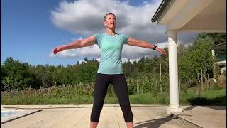 Standing Spinal Rotation