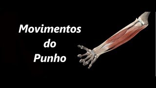 Movimentos do Punho em 3D