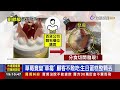 嚇！東湖市場買水果 民眾驚見「廚餘級爛果」