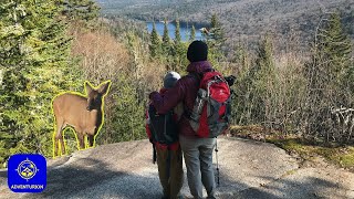 The deer country | Mont-Tremblant National Park | Hiking guide