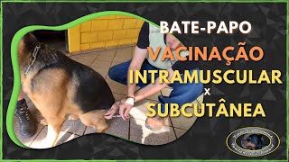 BATE PAPO - Vacinação Intramuscular vs Veterinário de Internet