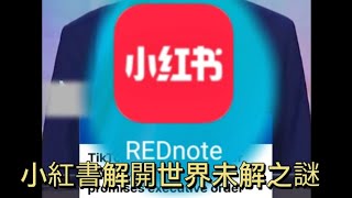 tiktok事件到小紅書這幾天已揭開世界未解的謎：又黃標真係冇新聞自由