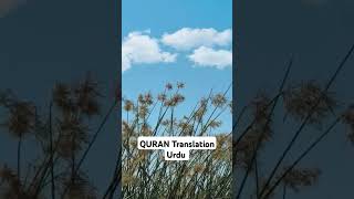 Surah Nissa Ayat No 69,70 | Urdu Translation| #quran #quranrecitation