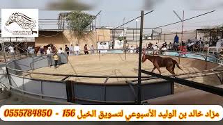 ‏‏اكبر و اقدم مزاد اسبوعي لتسويق الخيل (156) The largest and oldest weekly horse marketing auction