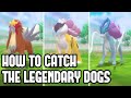 How to Get the Legendary Dogs in Pokemon Brilliant Diamond & Shining Pearl