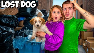 We Found a Lost Dog All Alone…