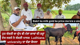 bakri ka milk gold ke price me kre s-ale || ਬੱਕਰੀ ਦਾ ਦੁੱਧ ਮੱਝਾਂ ਤੋਂ ਵੱਧ ਰੇਟ ਤੇ ਵੇਚਣ ਗਏ  ਬੱਕਰੀ ਪਾਲਕ