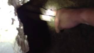 Swiftplumbers.com