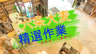 サタケ YRZ500AW 六条大麦精選作業です。　農業