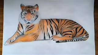 How to make a tiger drawing | How to draw a tiger sketch step by step
