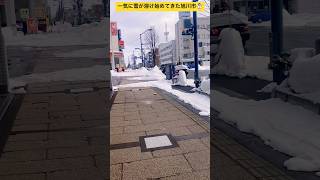 【北海道旭川市】一気に雪が溶け始めてきた旭川市☃️ 現在の気温-3°❄️ #ninjya #shorts #旭川市 #景色 #hokkaido #北海道 #雪