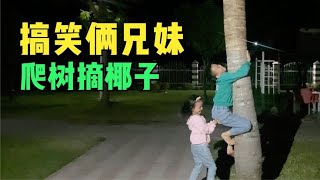 带俩兄妹去马拉维湖游玩，一晚700块的酒店长啥样？出门就是沙滩【嘉莹妈妈】