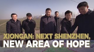 Xiongan: Next Shenzhen, new area of hope