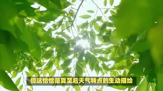 夏至：二十四节气中的第十个节气，通常在公历的6月20至22日交节