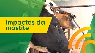 Entrevista com pesquisador Marcos Veiga | #OurofinoemCampo | 21/07/2023