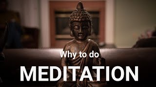 Why To Do Meditation | The Way Of The Buddha | Buddha Says 🤚