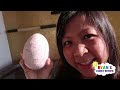 First Time at the Beach in Mexico + Ryan Surprise Mommy with Dinosaur Eggs!!!!