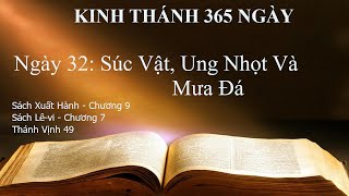 Ngày 32 - Súc Vật, Ung Nhọt Và Mưa Đá | KINH THÁNH 365 NGÀY